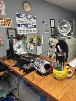 Levi's Smog and Automotive Service Center