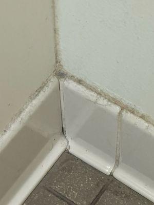This is the corner of the bathroom. It's what I saw as I was hovering over the toilet, praying my cheeks wouldn't make contact.