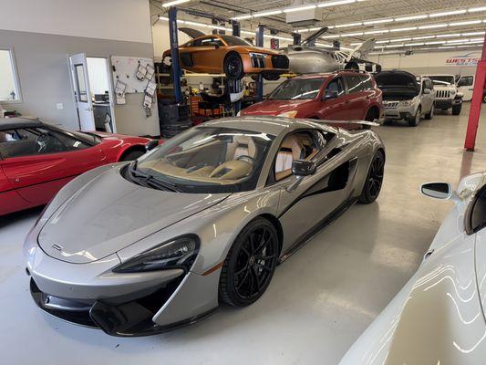 American Auto Glass