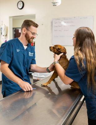 Creekside Animal Hospital