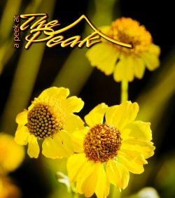 The Peak Magazine