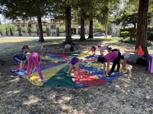 Bayshore Elite Gymnastics