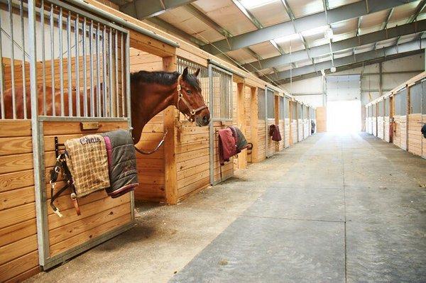 Worthington Stables