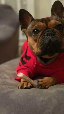 Negligent, Cora deserved better and lost her life for no reason other than negligence.