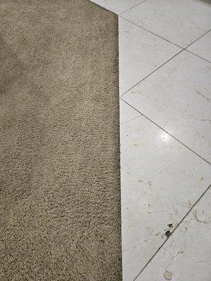 24/7 Carpet & Floor Care