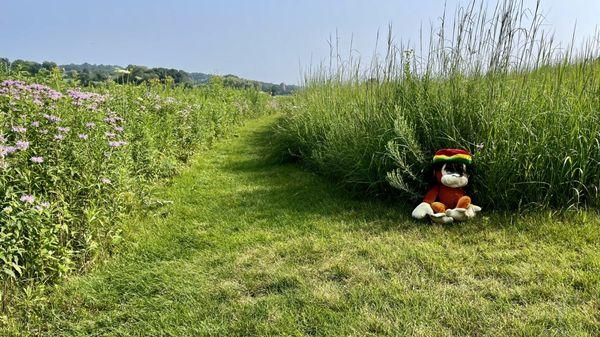 Prairie Ridge Conservation Park