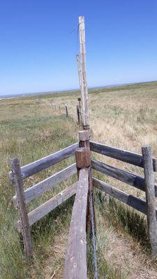 Gate between sections of pasture.