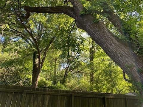 Garcia General Services