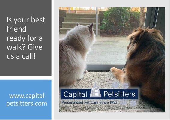 Capital Petsitters