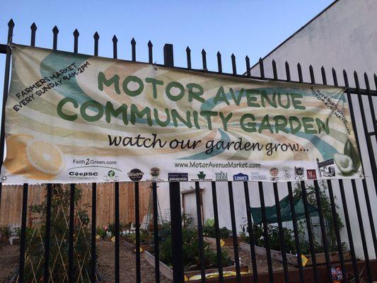 motor ave community garden