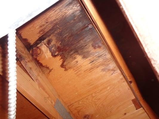 Water Intrusion, Roof Failure