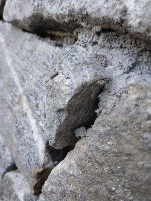 County Hill Paving & Excavation