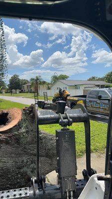 By The Bay Tree Service