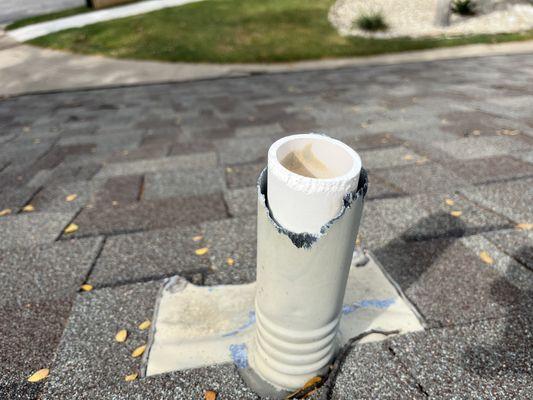 Squirrel Removal: Found a Chimney Pipe Chewed by a Squirrel!