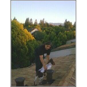 Me petting "roofer dog"