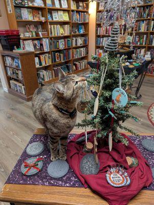 Cats and Christmas trees...
