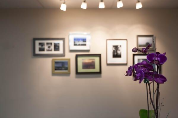 Healing Roots Acupuncture