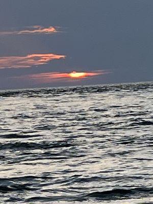 Sweet Sunsets & Dolphins Tours