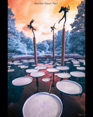 Matthew Stuart Piper