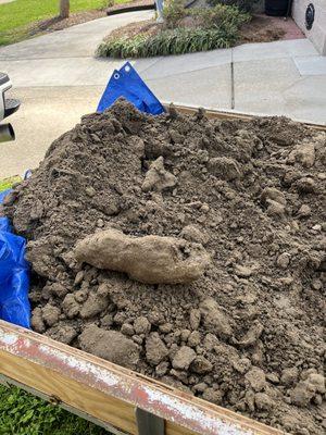 Reliable Soil Company