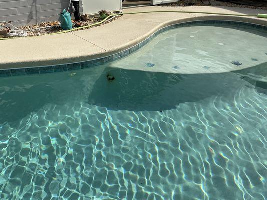Waterside Pools