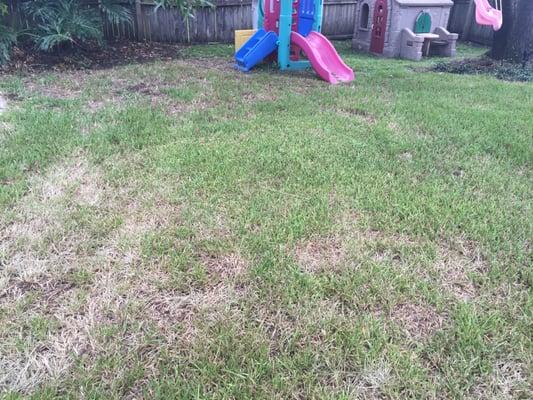 Laurie Brown Landscape Service