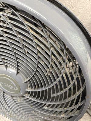 Sunny Buns Tanning Salon & Spa