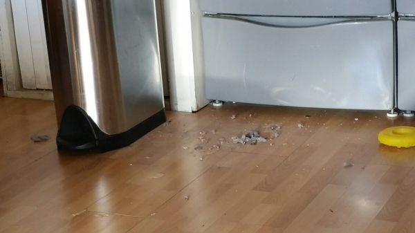 Major Home Appliance Service