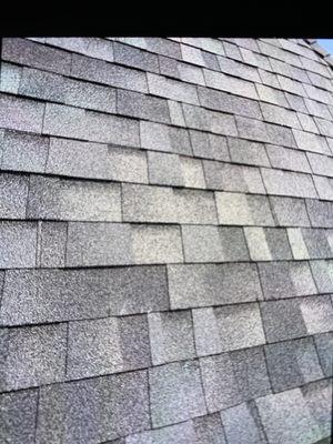 Healthy roof