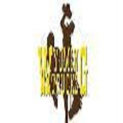 Wyoming Trucks & Cars Inc