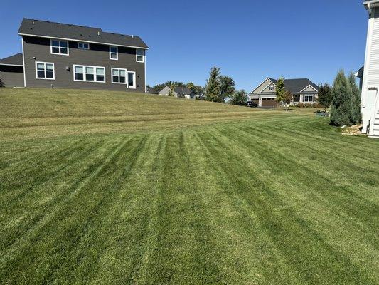 Elite Lawns of Minnesota