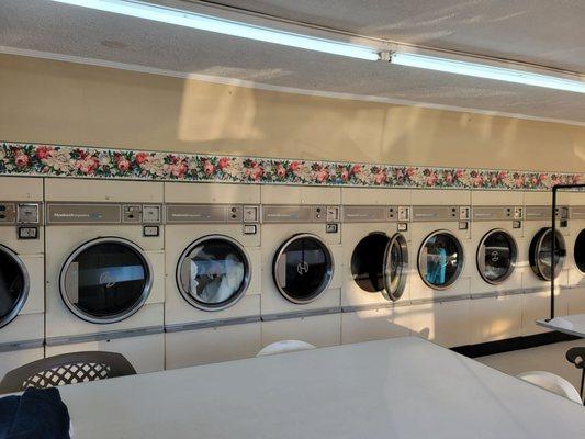 The row of dryers