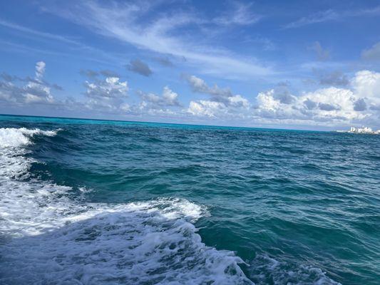 Irina Baechle Counseling