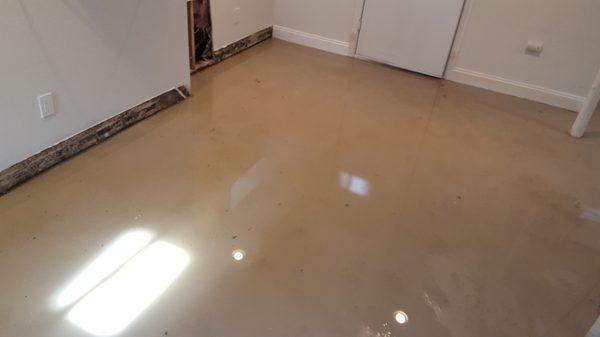 Flooded Basement Hicksville