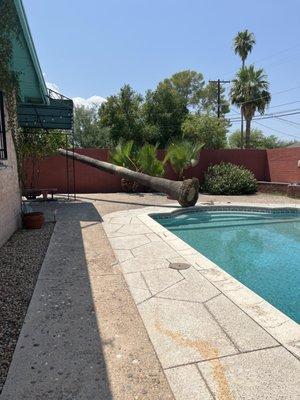 FM Concrete Solutions