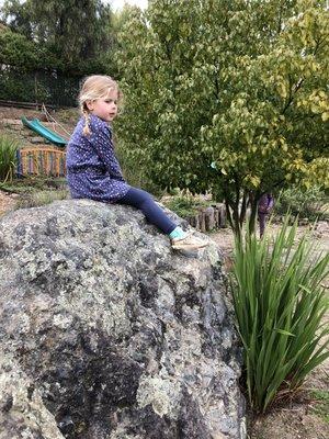 Climbing and feeling on top of the world!