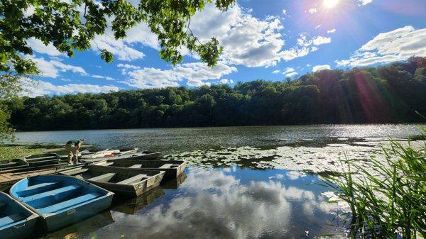 Wampus Pond Park