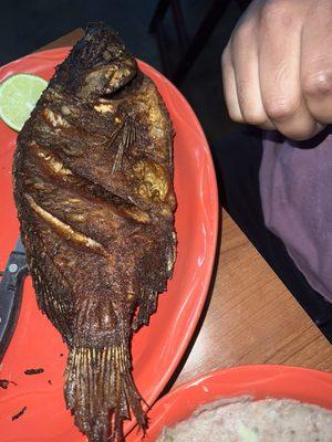 Mojarra Frita