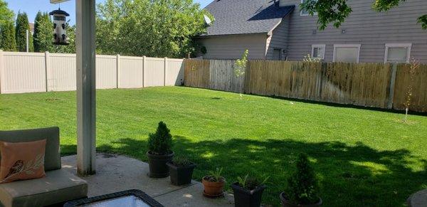 Boise Lawn Co