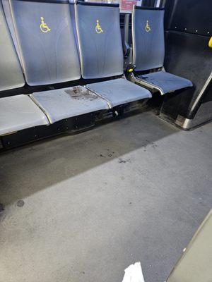 This in the front and a few more after that.