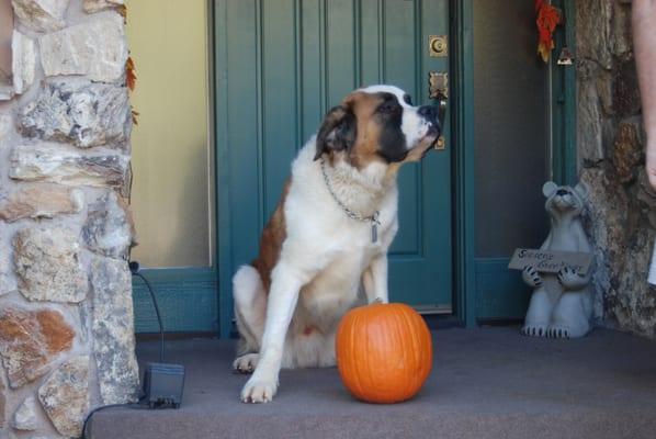 Gray Matter Computing