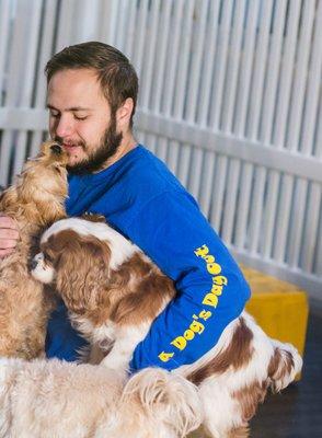 A Dog's Day Out - Vienna