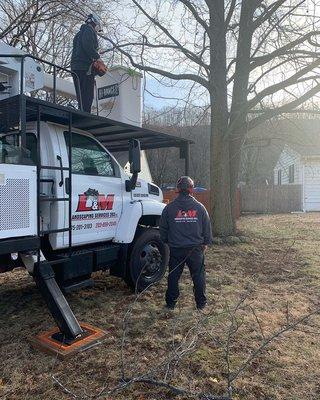 L&M Landscaping & Tree Removal