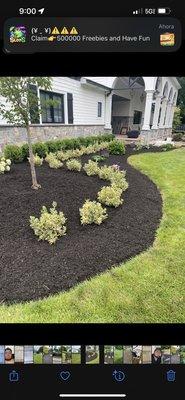 Salmeron Landscaping