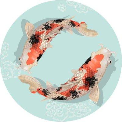 Koi Coaching and Consulting