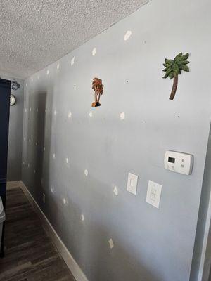 This is my dining room wall. And the holes where filled poorly