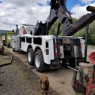 We have acquired a new to us Heavy Tow Truck. We're in the midst of getting it all cleaned up, lubed up and with a fresh coat...