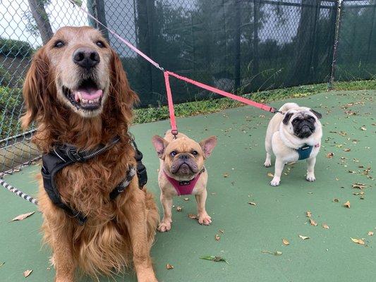 Trinity Counseling Ministries