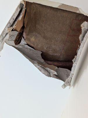 This is where their estimator broke through our ceiling, and we have gotten nothing but the "run-around" in response.