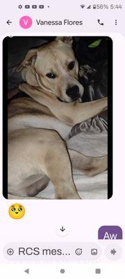 Hillsborough County Pet Resource Center